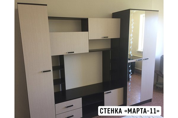 Стенка в гостиную "Марта-11" (Флора) 